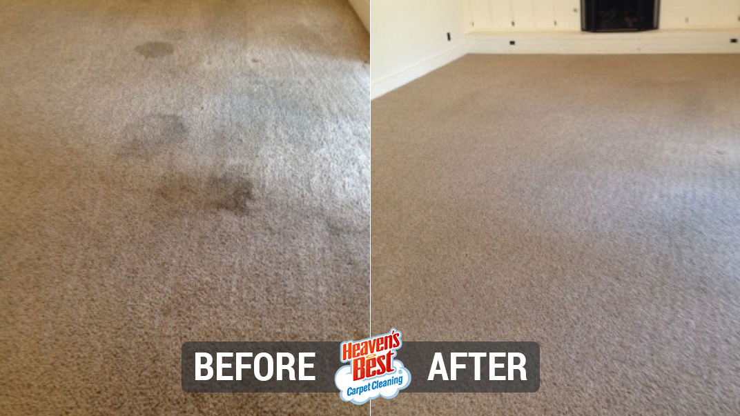 Heaven's Best Carpet Cleaning of Stafford VA