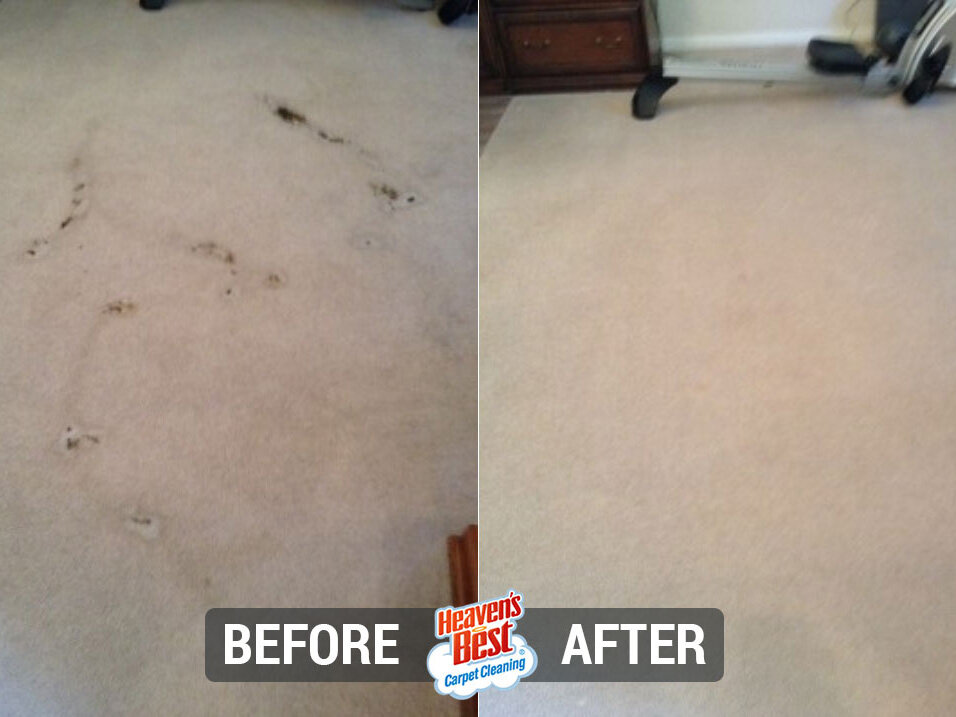 Heaven's Best Carpet Cleaning of Stafford VA