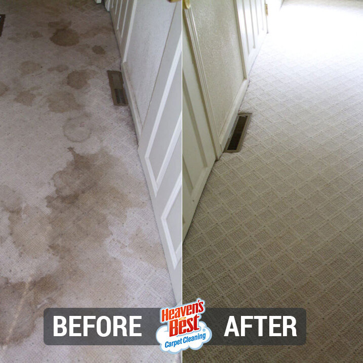 Heaven's Best Carpet Cleaning of Stafford VA